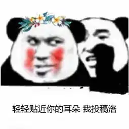  bot是什么梗