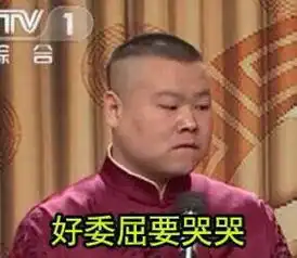  岳云鹏,青年相声演员,2015春晚,微信表情堆糖,美好生活研究所