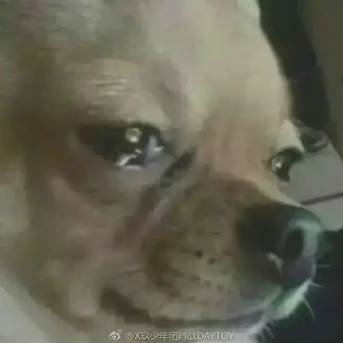  肖战不小心看到蜘蛛侠剧透,发了个绿洲