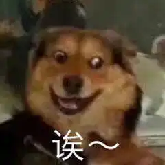  突然曝光华为明年最香旗舰,真是太猛了