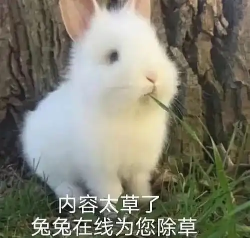  相看两不厌