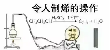  确认过表情包都是当大学老师的人