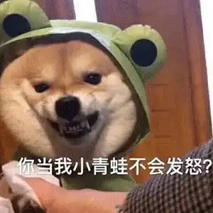  表情包拿起手机发出了学习的声音