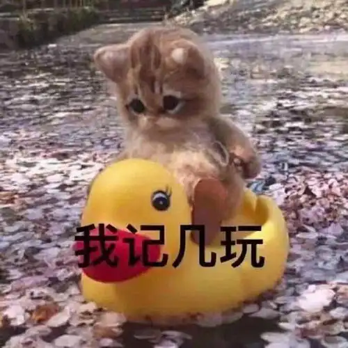  抖音热门表情包