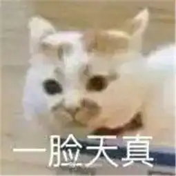  表情包我妈给我爹洗脚水放了好多陈皮八角花椒干辣椒,好多佐料