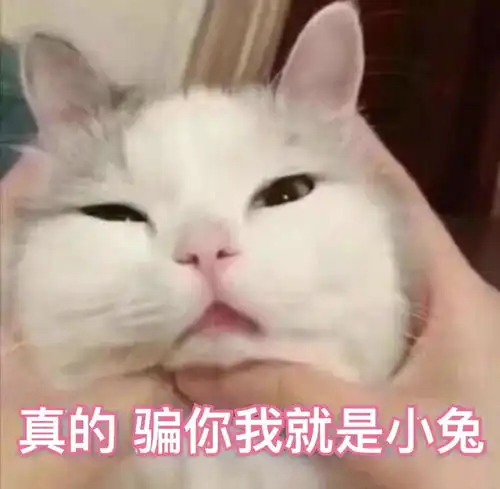  法国本土申请的小伙伴注意了,漏了这步可能上不了学