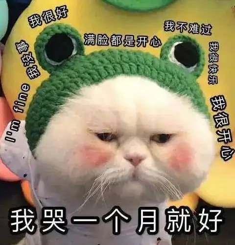  大学生宿舍偷养了橘猫,阿姨走进一看,却偷偷笑着出来