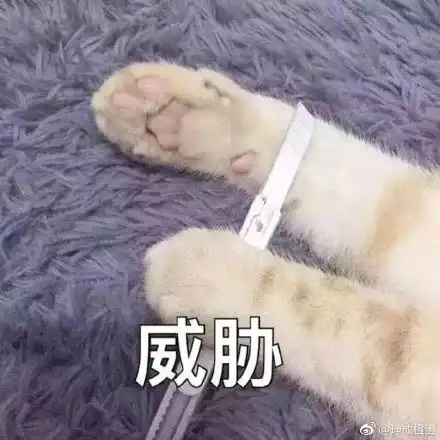  哇哇哇微信号可以改了万众期待的后悔药或许真的要来了
