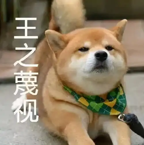 伸懒腰表情包可爱gif头