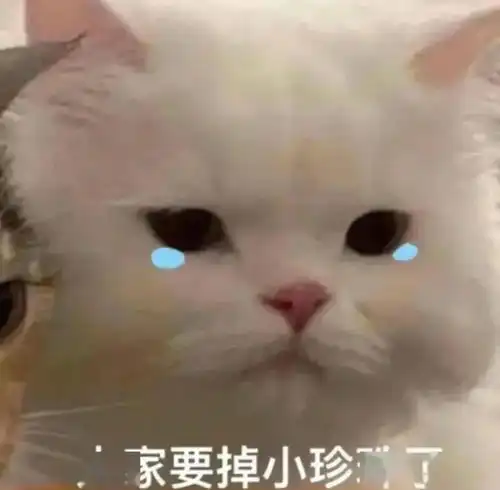  撒娇必备表情包丨会撒娇的人最好命