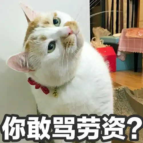  彩虹六号围攻里,那些故意炸鱼,tk,恶心队友的人是什么心态