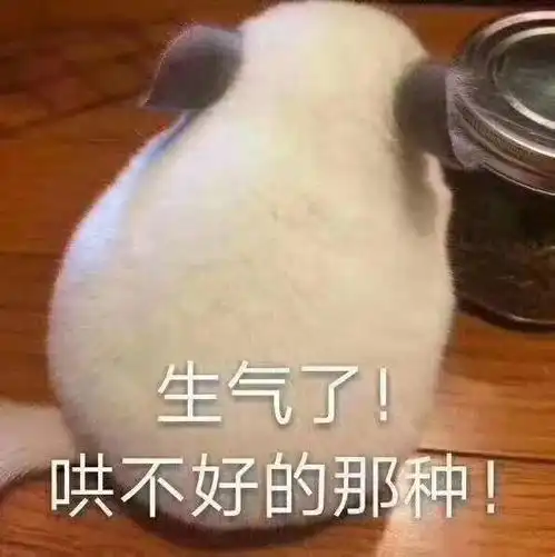  这甜甜的表情还不发给对象吗