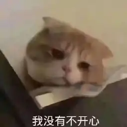  猫咪表情包快让我看看怎么年纪轻轻就傻