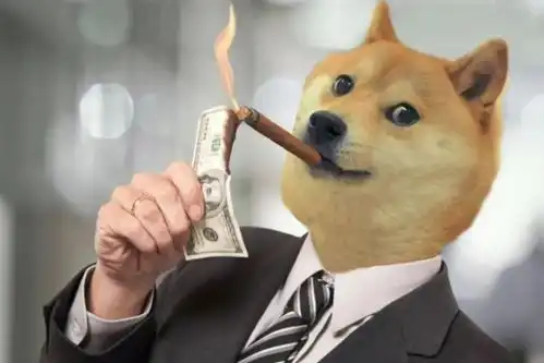  狗狗币是什么为什么能和比特币不相上下