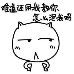  tom网石家庄康途
