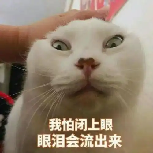  穿大衣和阔腿裤的女生在冬天是怎么上厕所的