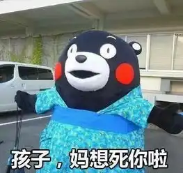  寒假给自己立一个flag