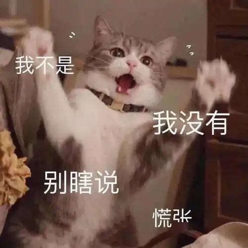  沙雕表情不用担心,我每天睡眠很充足