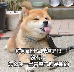  柴犬土味情话表情包合集你知道我的缺点是什么吗