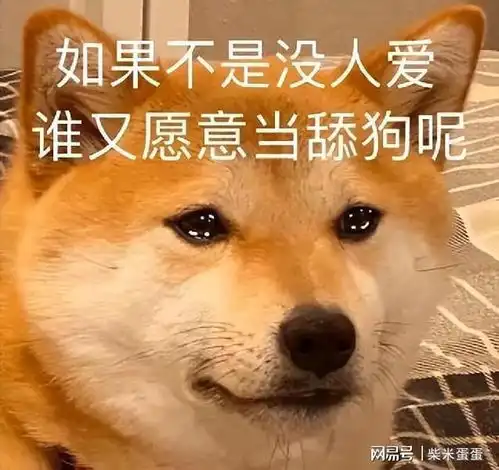  狗狗喜欢舔人,舔这几个地方,是告诉你大事不妙了