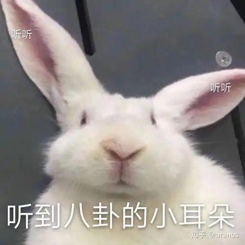  有没有那种可爱且撩人的表情包