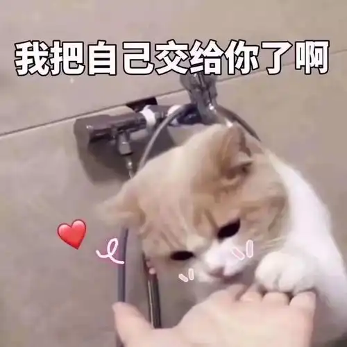  逐麓湖大