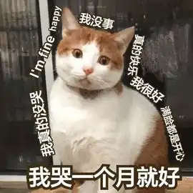  因为看世界杯,俩男子一个进了医院,一个进了看守所视频