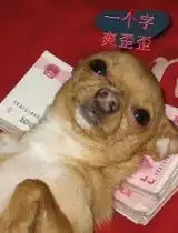 dfj769394视频全集dfj769394视频观看视频播放