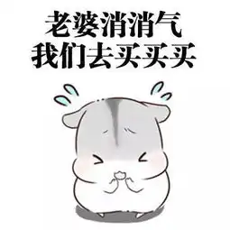 小表情包尺寸道歉