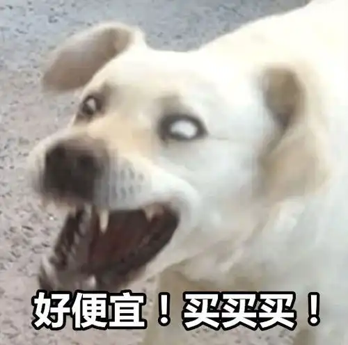  有的人虽然双11破产了,但依旧是表情包大户