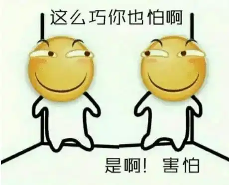 滑稽可爱表情包柯基