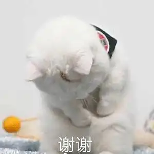 求租客村,赤岗,琶洲,万胜围地铁小区房