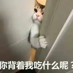  开心一刻笑话老婆是柔道冠军,一次上岳母家玩,与其闲聊