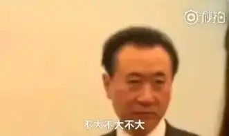  中国富豪圈4大顶zhuang级bi天王横空出世