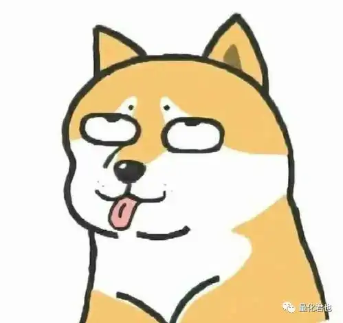 网红懒懒兔表情包国美