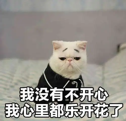  你用了多大的努力考上了中国传媒大学