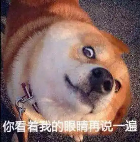  为什么一定要给孩子找个程序员爸爸