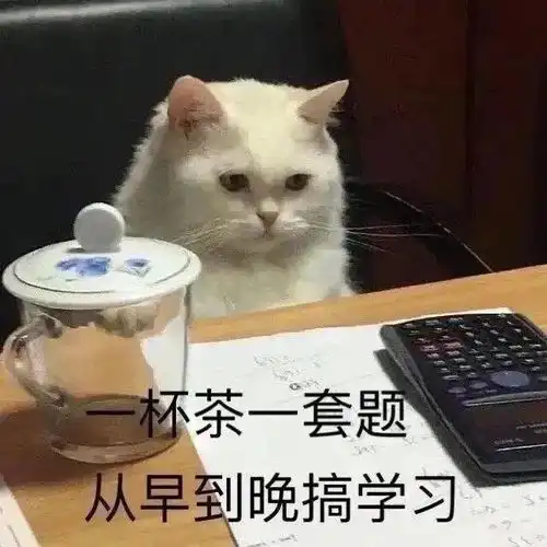  山东专升本考试激励你学习的壁纸