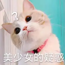  撒娇专用的猫咪表情包给你个机会偷亲我