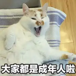  泪网红猫楼楼去世,我的表情包回到了汪星球...
