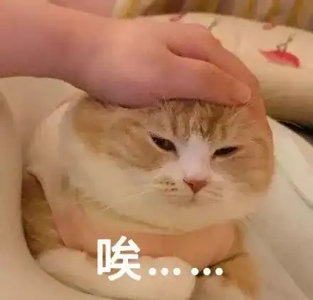  猫咪表情包如果我是一只咸鱼,那就让我快乐每一天