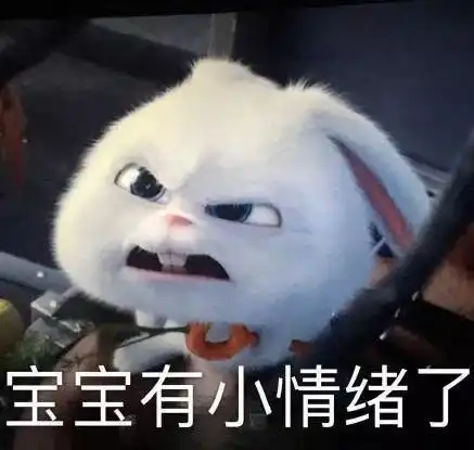 p表情包的文字大白兔