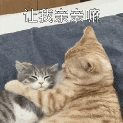  坏坏的撩妹表情包今天你那里吹风了吗风有告诉你我喜欢你吗
