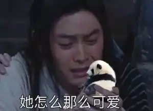  指尖上的梦想不一样的panda君