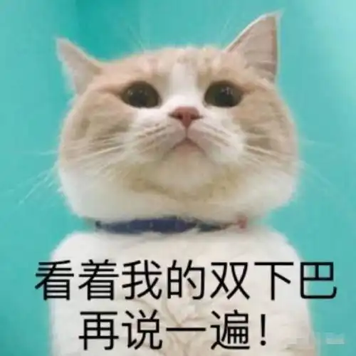  有哪些可以很好表现愤怒想骂人的表情包