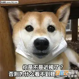  你是不是近视眼套路图片你是不是近视套路表情包下载乐游网游戏下载