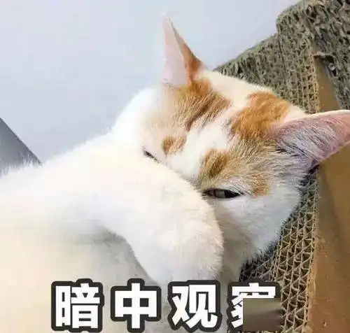  选择大于培养,阿里的望闻问切选人法
