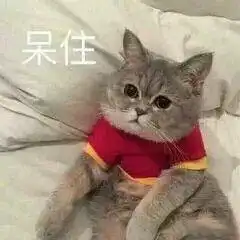  吃惊表情包合集