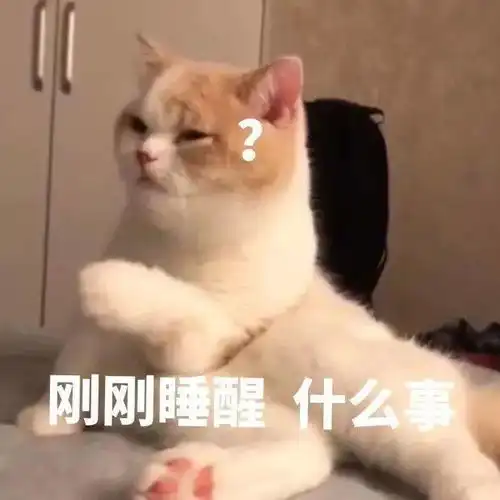  猫咪控诉大会,在座的养猫人都哭了......