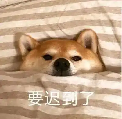 舔狗图片表情包塔子